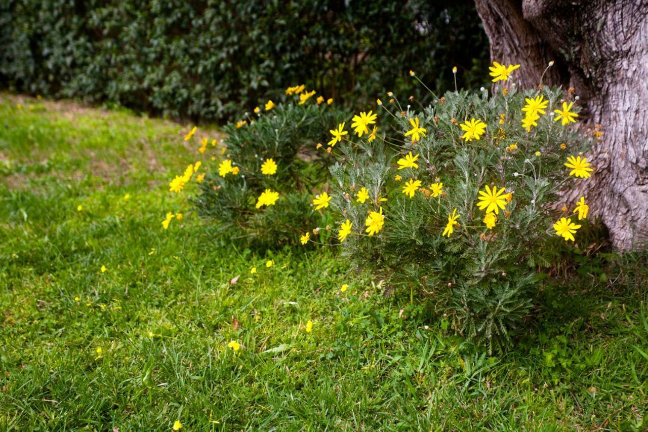 La Casa Di Caterina: Nature,Relax And Private Garden Lefkáda 외부 사진