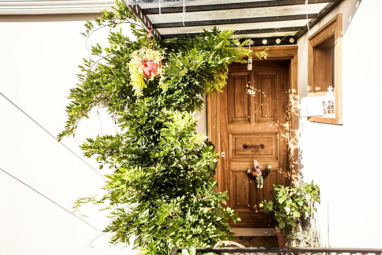 La Casa Di Caterina: Nature,Relax And Private Garden Lefkáda 외부 사진